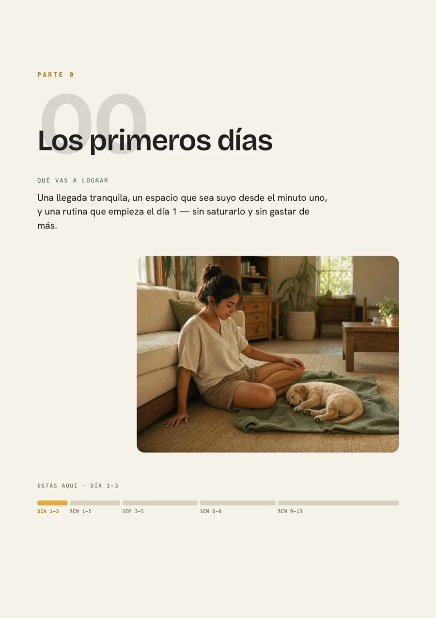 Página real de apertura de Los primeros días.